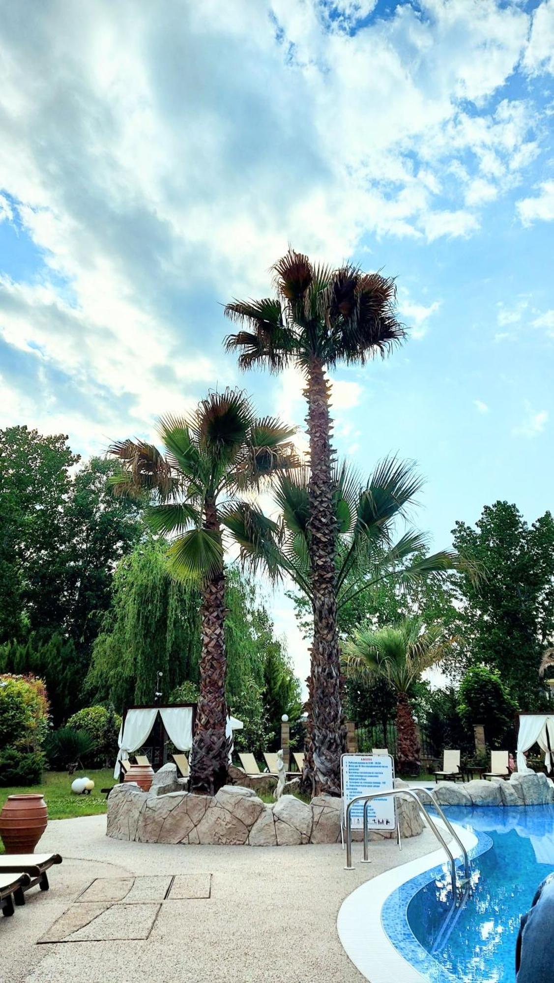 Апартаменты Aphrodite Roce Pantai Sunny Bagian luar foto